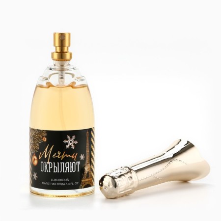 Toilet water for the New Year "Hello Winter", 100 ml.-3