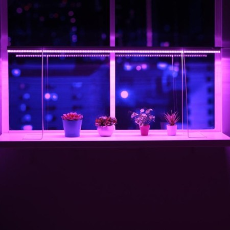 LED phytoslight, 18 watts, 600 mm, IP40, 220 V, multiproper, stand 500 mm