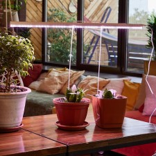 Lamp for plants LED linear, 1150 mm Uniel, 35 W, BIO LED, IP40, white color