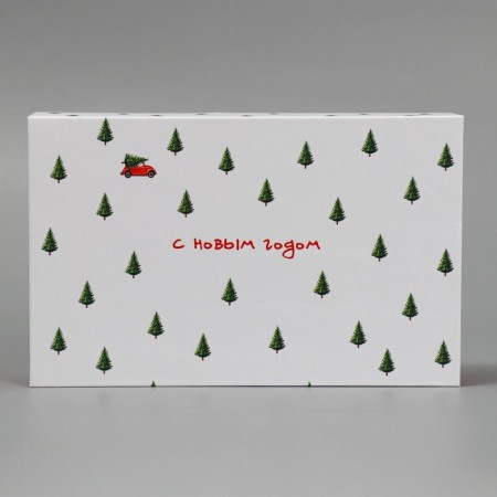 Box of a “fairy tale” book, 20 x 12.5 x 5 cm, New Year-4