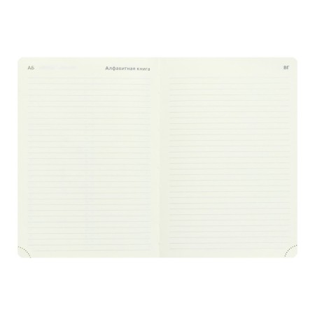 Leduced Diary A5, 160 sheets, Devente.galaxy, firm cover of artificial leather with foam rubber, lies, block 70 g/m2, raspberry-8