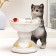 Garden Figure-feeder "cat with a vase" 21x13x20cm
