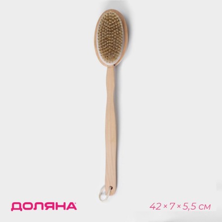 Massage brush for the body of the share, with a handle and a massage, natural bristles