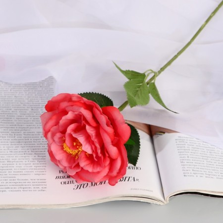 Artificial flowers "Rose Pretty" D-10 cm 55 cm, peach