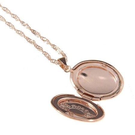 Pendant for the photo "Edel" oval small, color pink gold, 40 cm-3