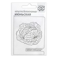 White cabbage seeds 