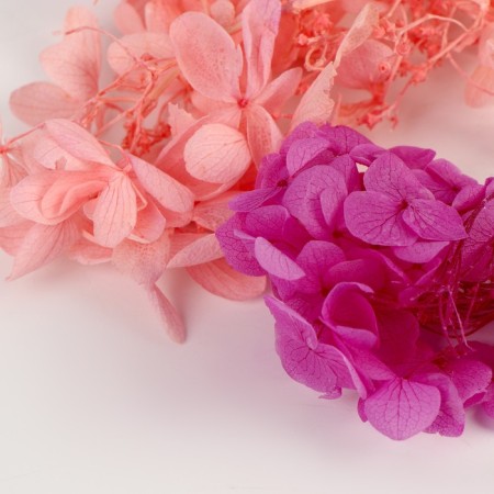 Set of dried flowers "Hydrangea"-2