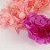 Set of dried flowers "Hydrangea"