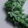 Liana is artificial for decor "Bay leaf", 3 meters, 13 × 13 × 2 cm