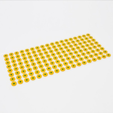 Kuznetsova applicator, 144 spines, film, 26x56 cm.