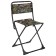 Folding stool, oak leaves