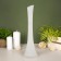 VAZ "Five evenings" White matte, freestyle D-2.5cm 30x9cm, 0.15l
