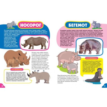 Animals for kids-8