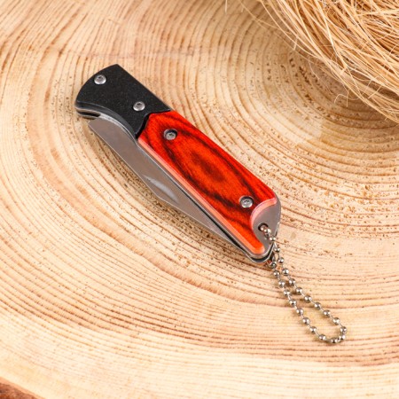 Folding "hunter" 15.8 cm, blade 72mm/1.8 mm, with a chain-6