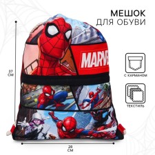 A bag for shoes with a pocket, 28x37 cm, Spider-Man