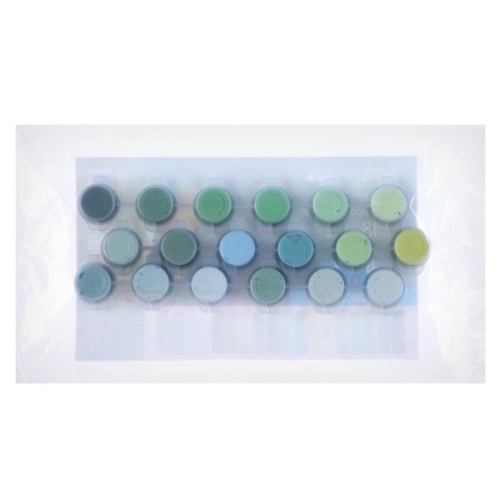 A set of acrylic paints "Greens", 18 colors-4