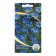 Flower seeds perennial linen blue 0.2-0.3g