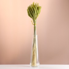 A set of dried flowers 