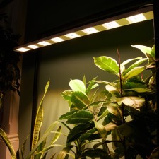The LED linen luminaire. Spectrum for the photosynthesis Uniel, 100 watts, IP40, LED, 23x1050x74 mm, white color