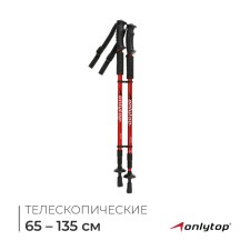 Sticks for Scandinavian walking online, telescopic, 3 sections, up to 135 cm, 2 pcs., Mix color