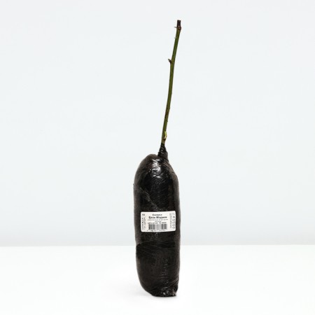 Black Black "Black Magic", tube, 1 pc, spring 2025-3