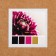 Colored sand set No. 10, 5 colors, 100 g each