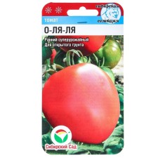 Seed Tomat 