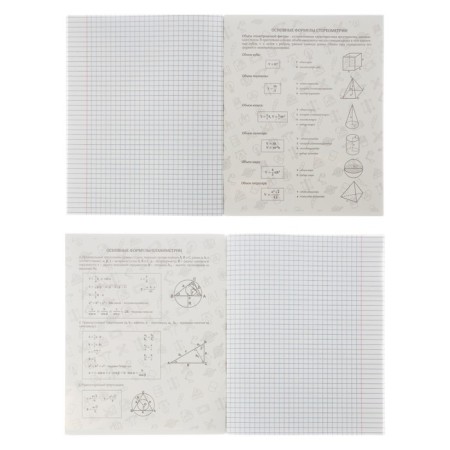 A set of object notebooks Calligrata TOP "Anime", 48 sheets, 10 items, with reference material, cover coated cardboard, twin-lame + selective UV-lak, OFSET BOCom-4