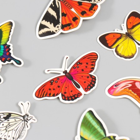 Butterflies cardboard "natural" set 12 pcs h = 4-10 cm-5