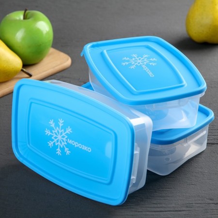 A set of containers for freezing products "Morozko", 3 pcs, 700 ml, color mix-6