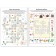 The book "Crosswords. 3 level "16 p.