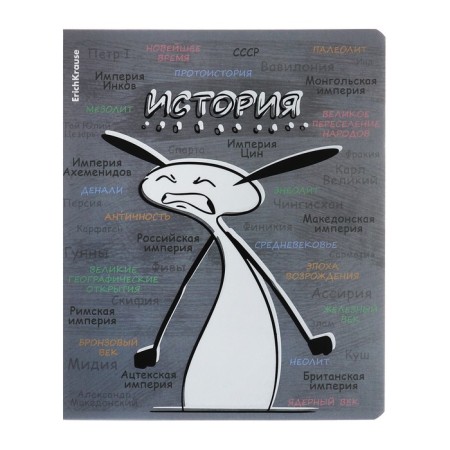 A set of subject notebooks 48 sheets, 12 pieces, Erichkrause "Chubrik", plastic cover silk-screen covers, Blok Offset 100%, information block-3