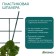 Shpalera, 48 × 29 × 0.5 cm, plastic, green, Greengo