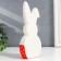 Souvenir Ceramics "Hare Tail Boof" 4x8.5x19 cm