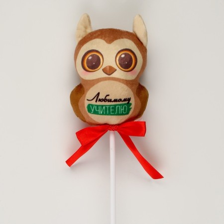 Soft toy in a bouquet "Beloved Teacher" owl on a stick-1