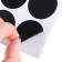 Stickers Waterproof "Circle", set of sheets 5 pcs., Cretaceous marker, diameter 1 stickers - 38 mm