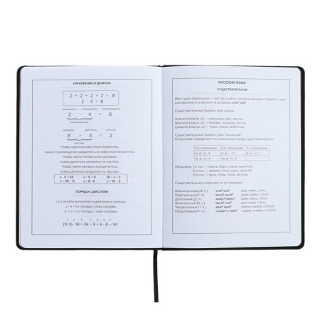 Universal Diary Grade 1-11, 48 sheets "Girl", hard cover of artificial leather, lies, universal cheat sheet, block 80 g/m2-10