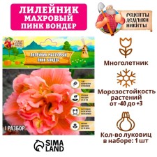Лилейник "Double Pink Wonder", р-р I, 1 шт,