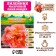 Lilenik "Double Pink Wonder", rr I, 1 pc,