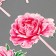 Decoration for the cake "Happy holiday", flowers