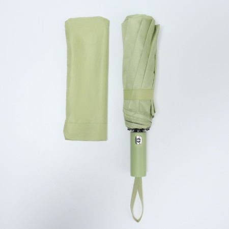 Automatic “monoton” umbrella, 3 additions, 10 spokes, r = 51 cm, olive color-10