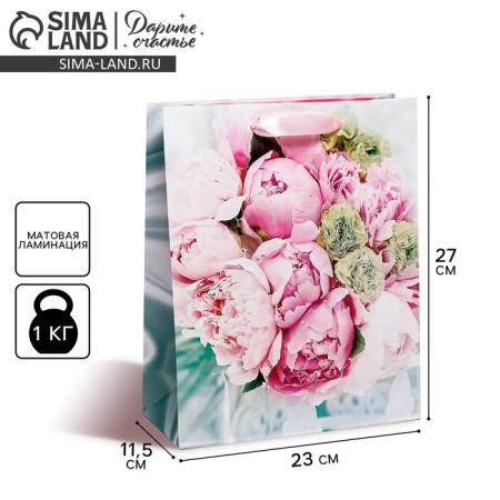 Package Gift Laminated Vertical, packaging, “Joy!”, Ml 23 x 27 x 11.5 cm