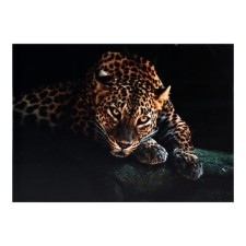 Picture on canvas 