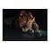 Picture on canvas "Leopard" 50*70 cm