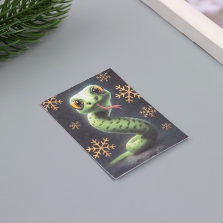 Postcard with seeds "grow itself" "snake" 5*7cm-1