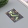 Postcard with seeds "grow itself" "snake" 5*7cm