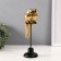 Souvenir Polystone "Golden Parts Ara on a Zhurdochka" 27.5x8.5x8.5 cm