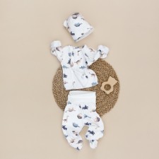 Kinderlitto Kinderlitto Counser Khrustik-2, 3 subjects, dinosaur print, height 50-56 cm