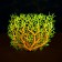 The artificial aquarium, luminous plant, 15 cm, red
