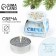 Tea Candle "Exciting Events", Diam 4 cm